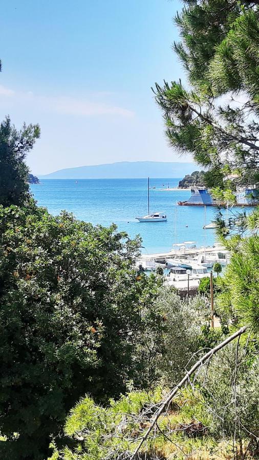 Apartma Utmar